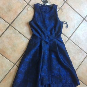 White House Black Market Blue and Black Rose Dress